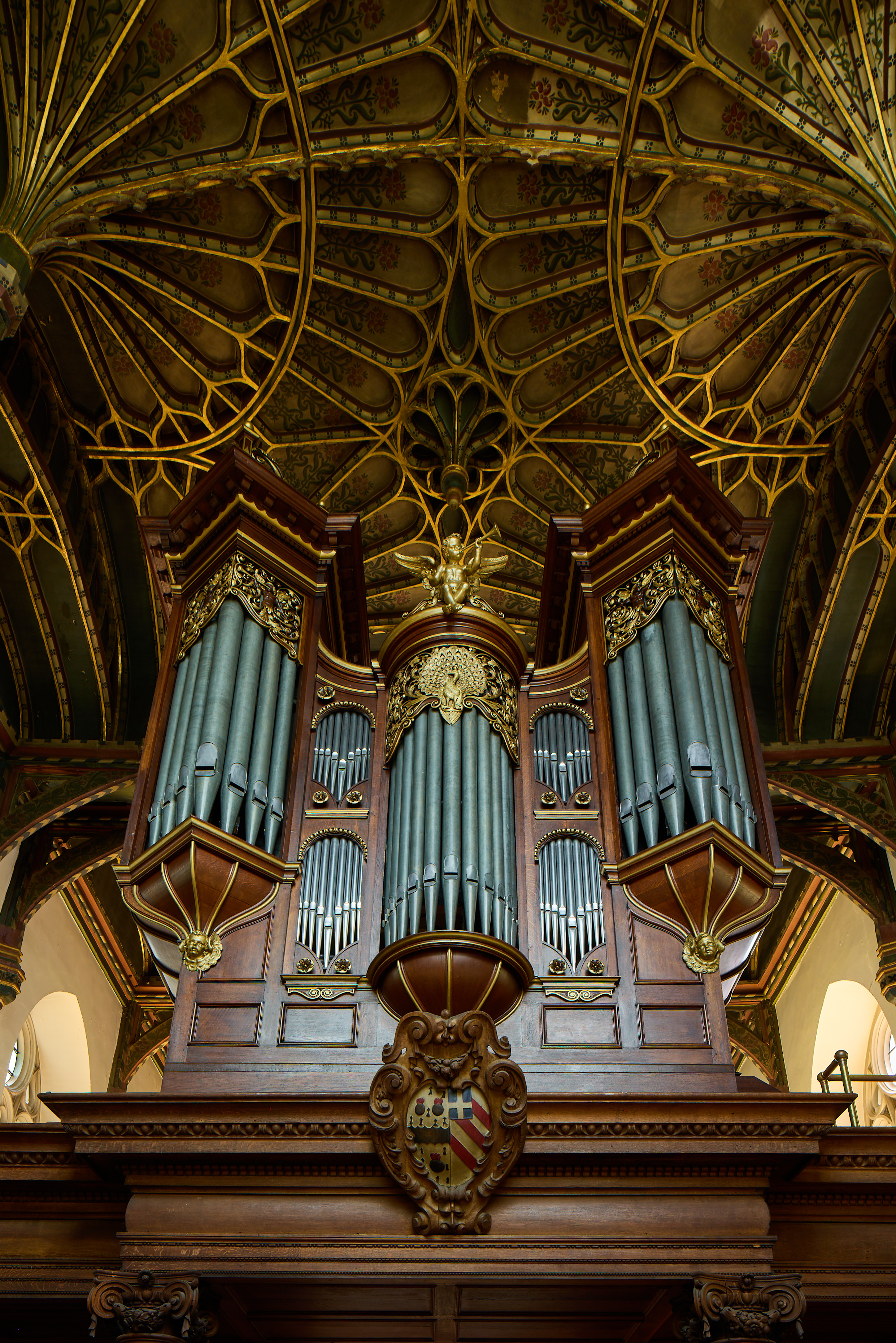 Brazen Nose Organ by Ian Wallman 01836