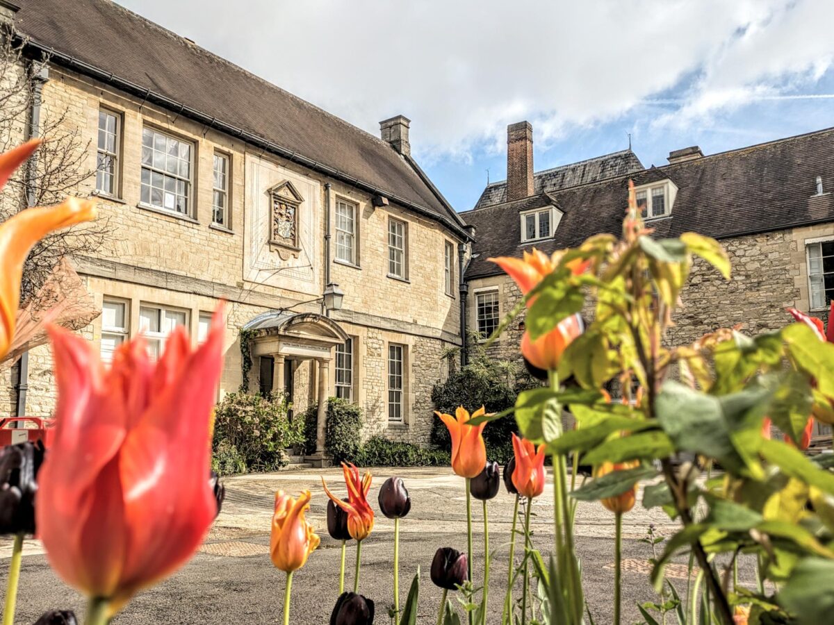 News Feature Box image