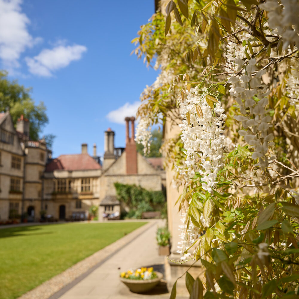 View along a college garden path with buildings on either side. White flowers in foreground