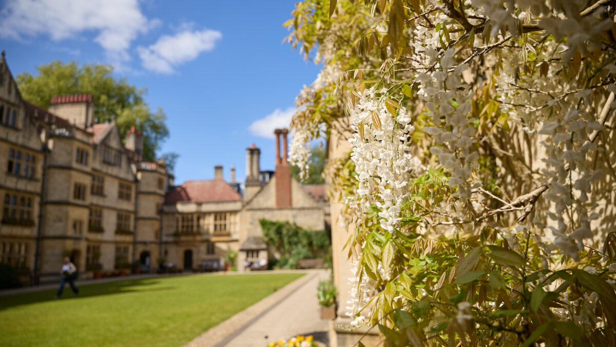 View along a college garden path with buildings on either side. White flowers in foreground