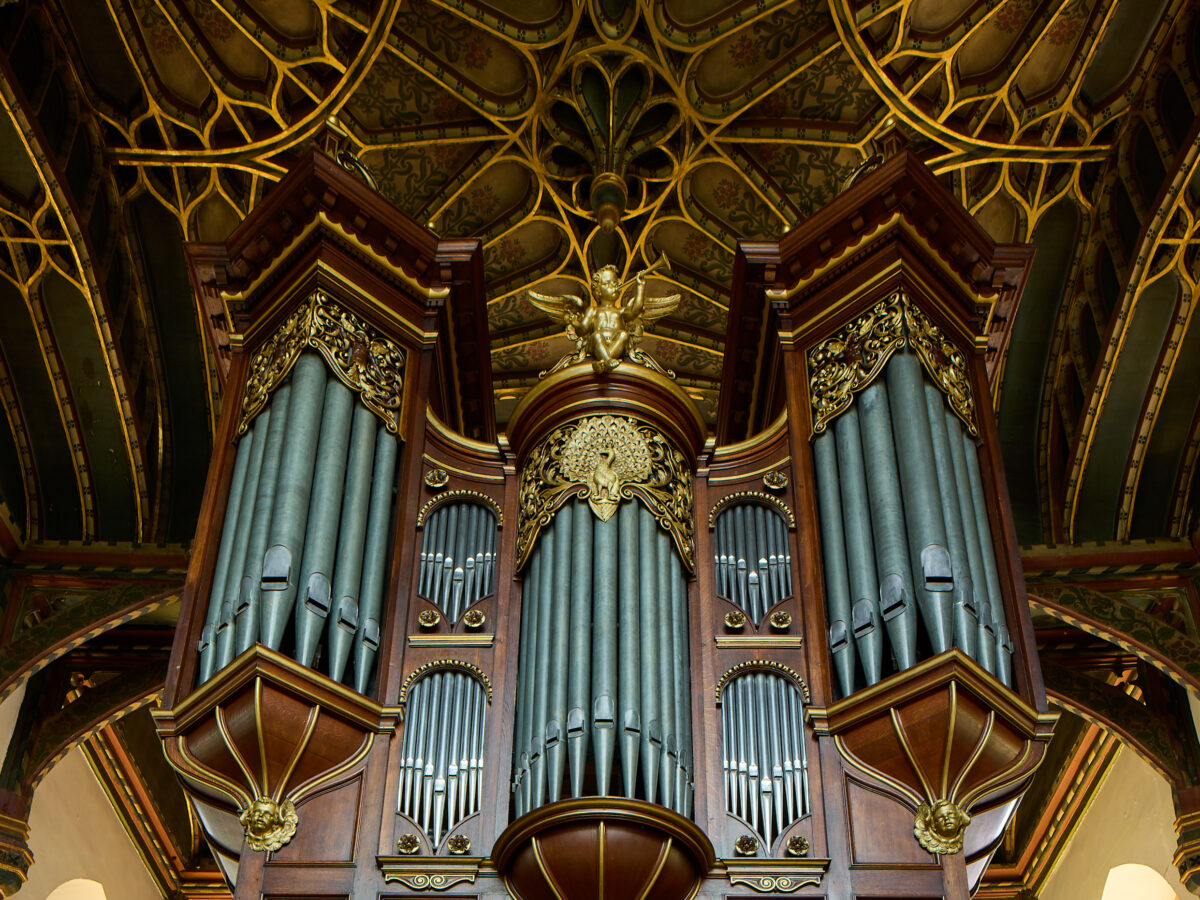 Brazen Nose Organ by Ian Wallman 01836