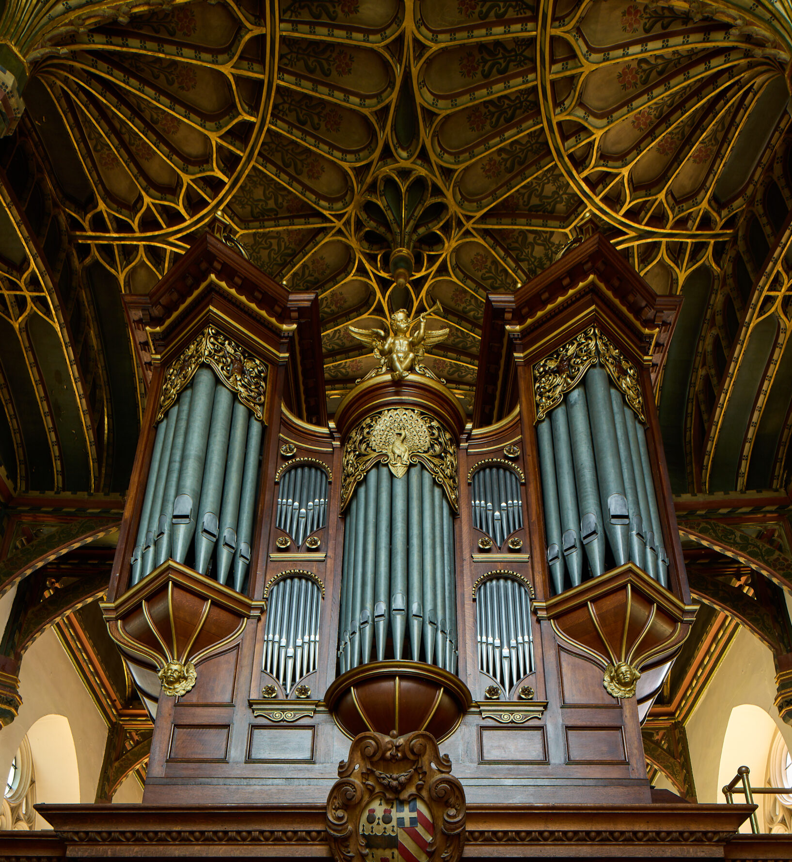 Brazen Nose Organ by Ian Wallman 01836