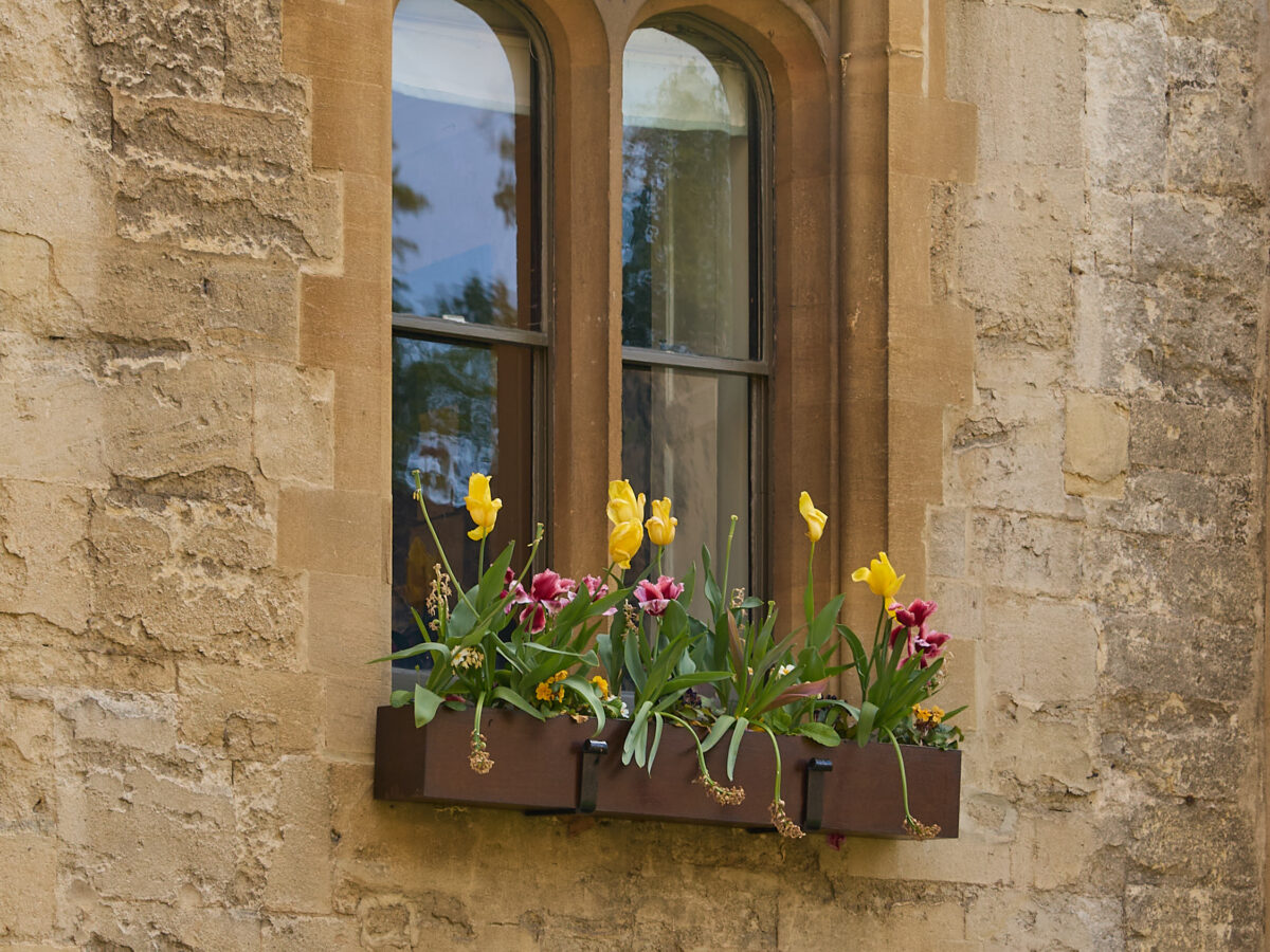 Window with flower boxes set into a stone college wall