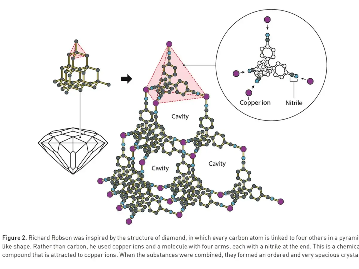 Diagram showing a network or process with labelled elements
