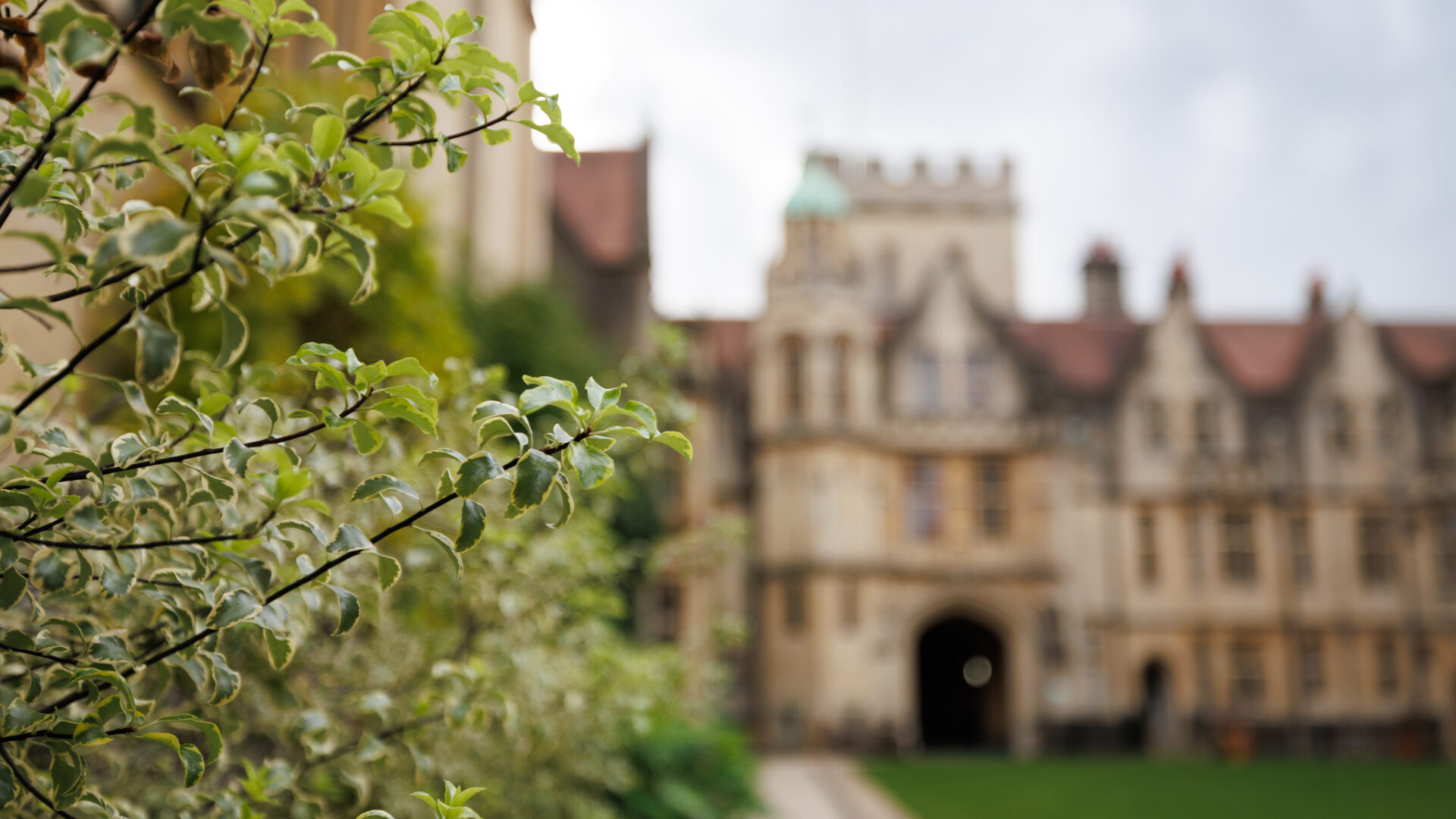View across the quad, with the historic buildings in the background