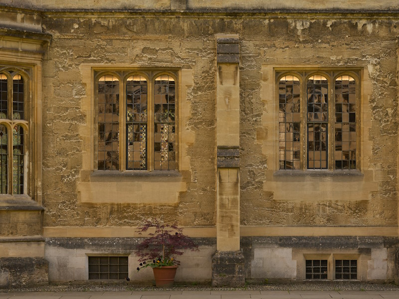 Weathered stone exterior of Brasenose College, Oxford, with two arched mullioned windows and a potted red-leafed plant at the base of the wall