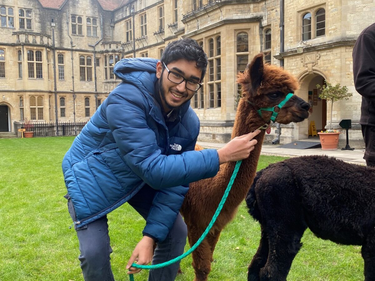 Amaan holding a Llama