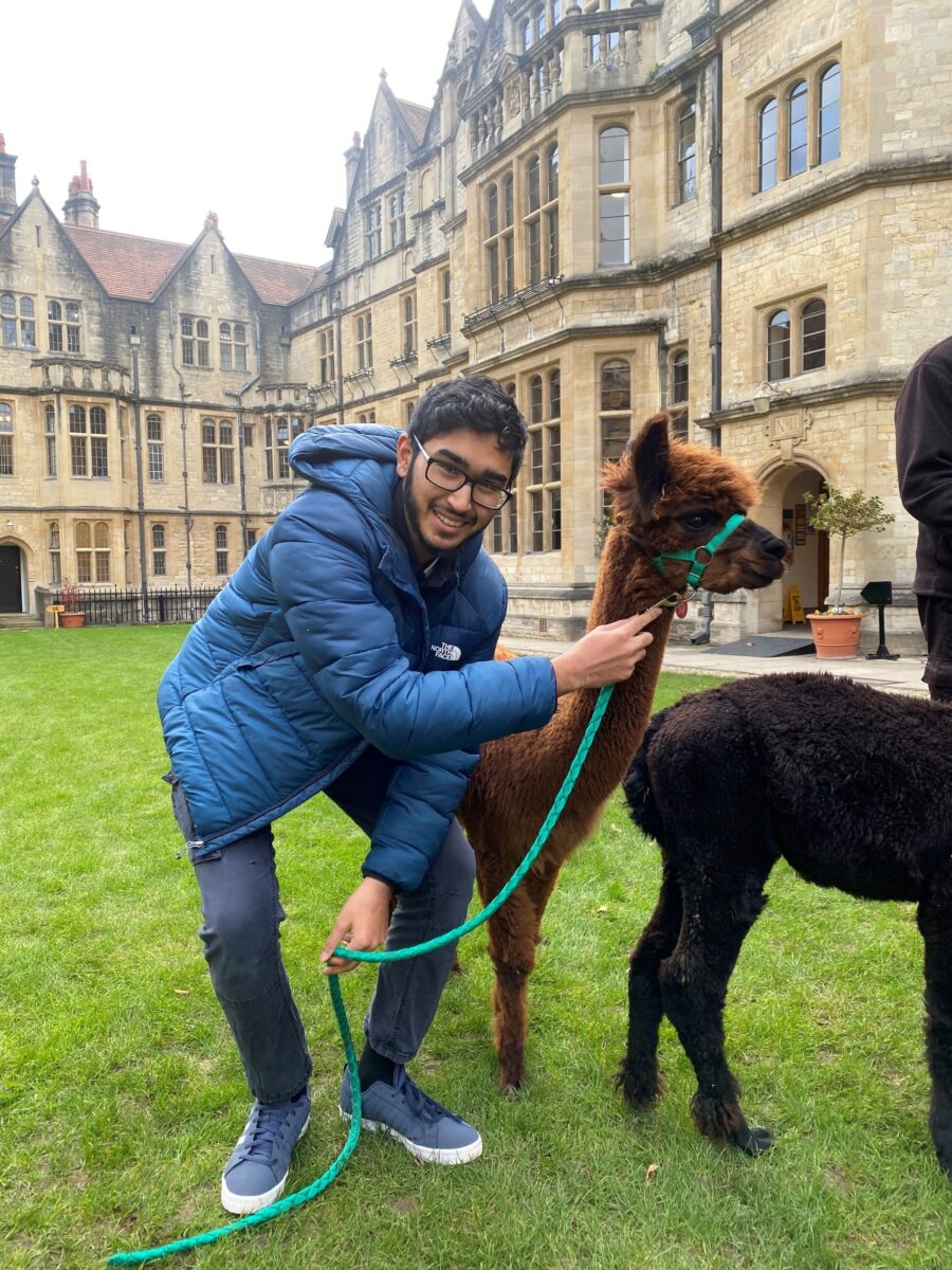 Amaan holding a Llama