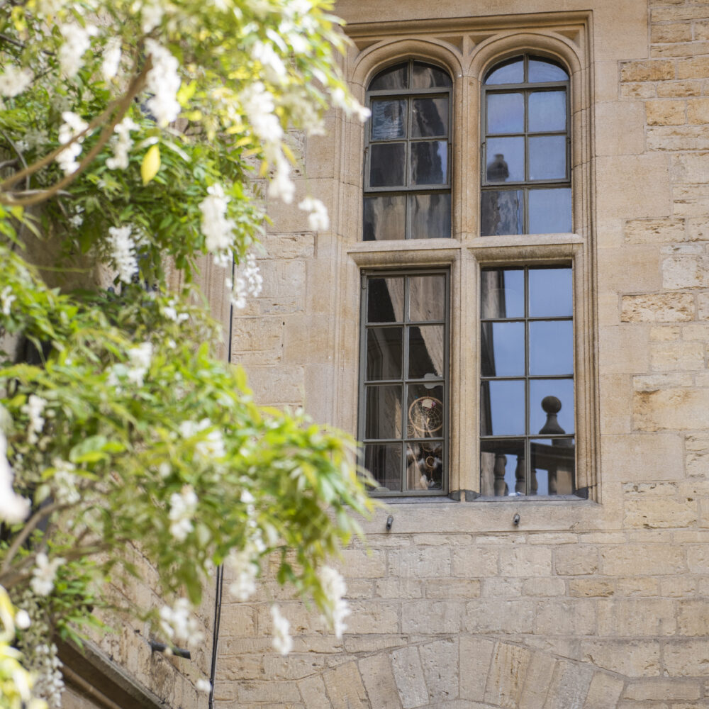 Wisteria outside a college window