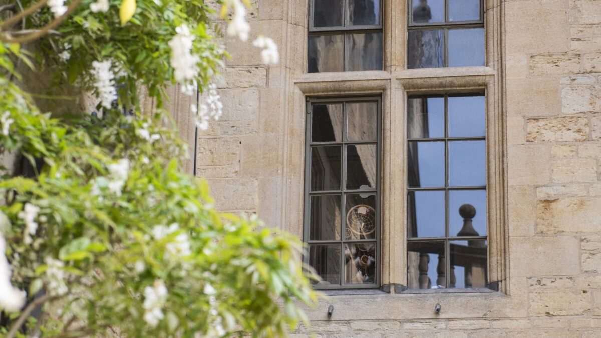 Wisteria outside a college window