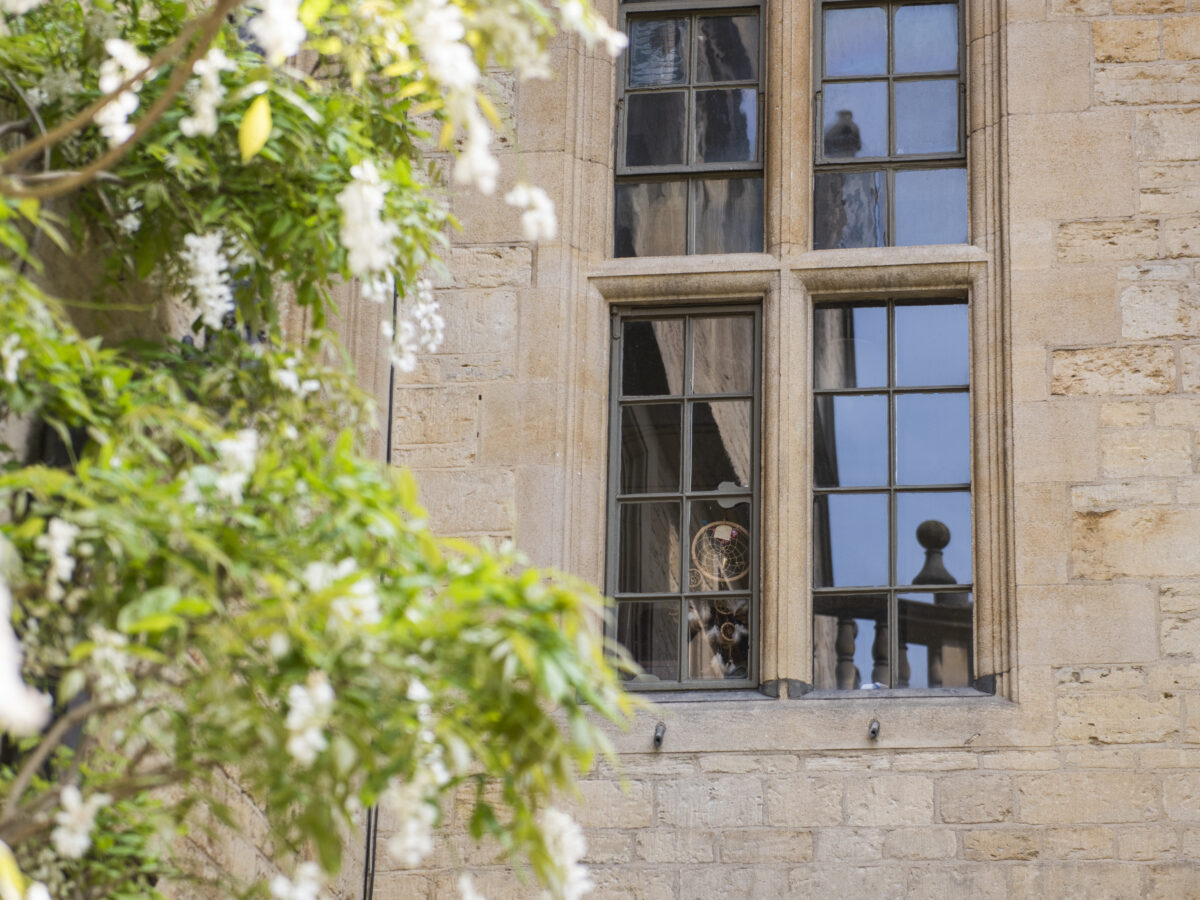 Wisteria outside a college window