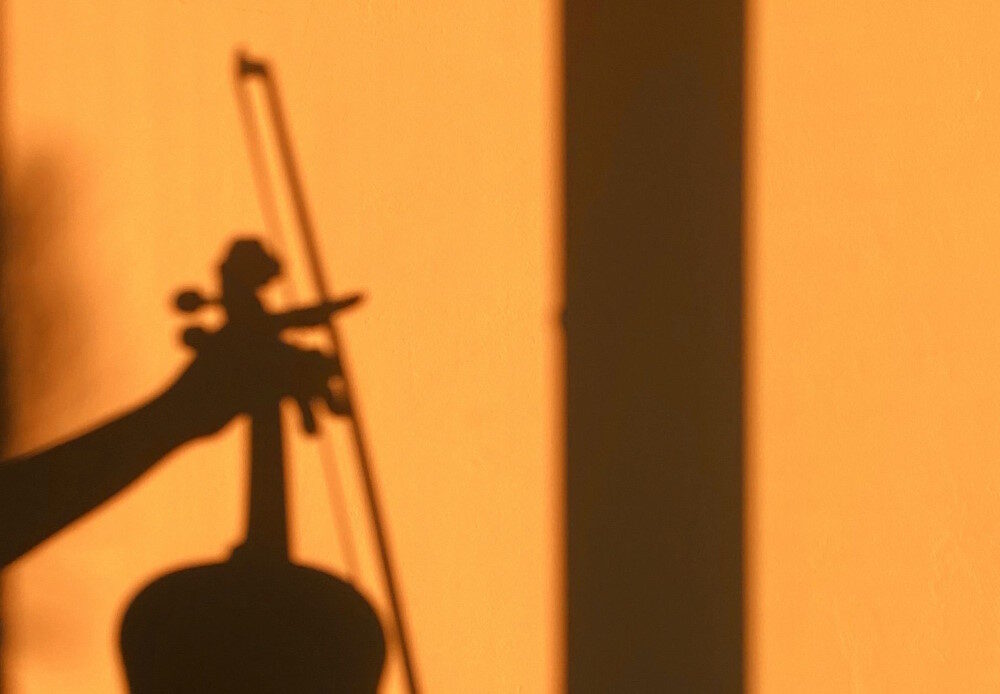 Silhouette of a cellist playing against a sunlit wall.